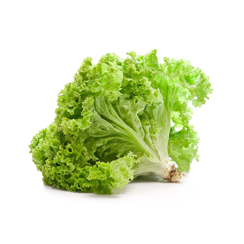Vinh Phuc Fresh Lettuce NET 100g